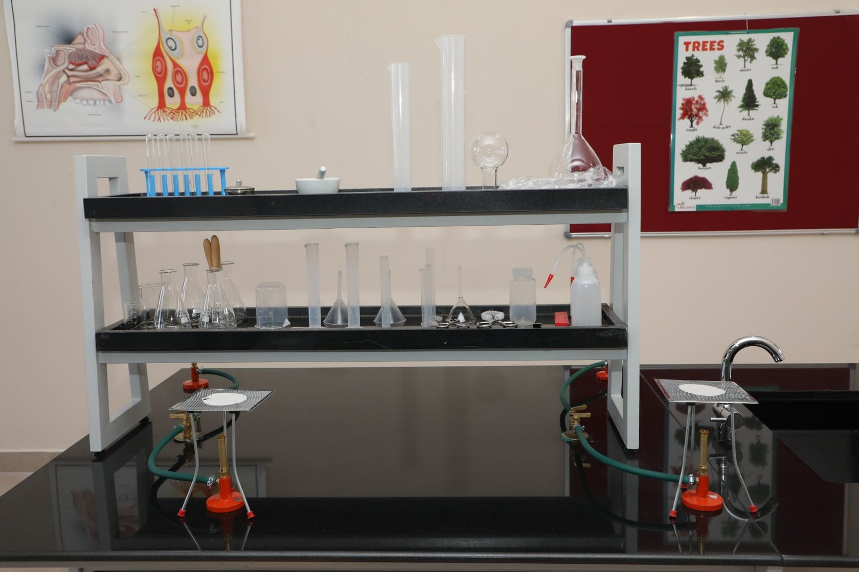 DSPS Campus